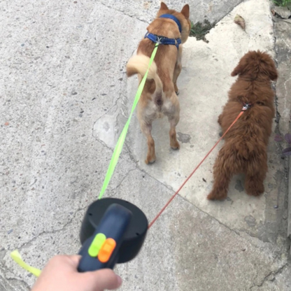 Dual Dog Leash